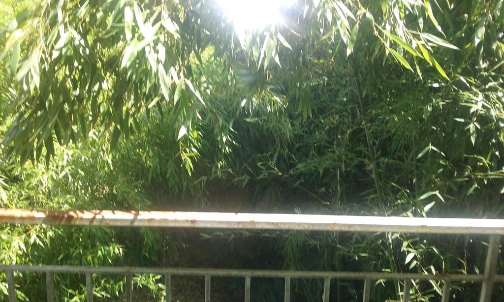 Couffy Le Moulin Du Modon Proche Du Zooparc De Beauval Bed & Breakfast エクステリア 写真