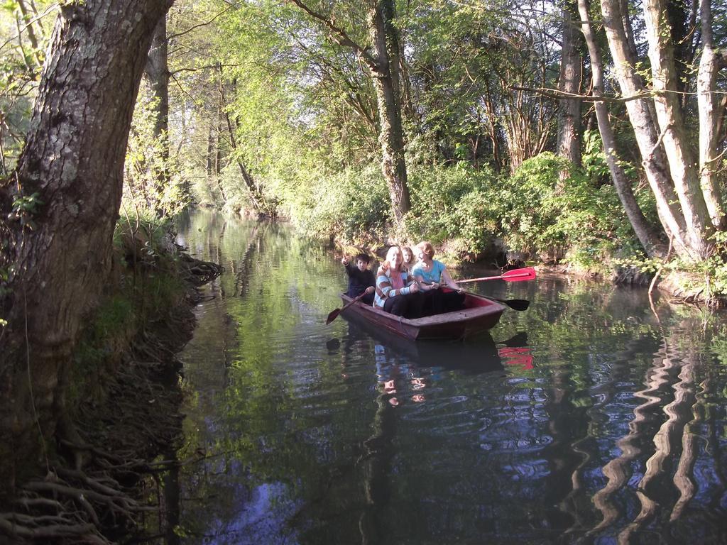 Couffy Le Moulin Du Modon Proche Du Zooparc De Beauval Bed & Breakfast エクステリア 写真